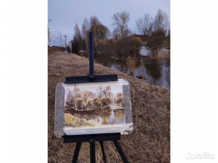 Акварельные картины