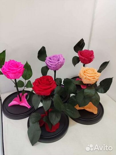 Роза в колбе опт и розница