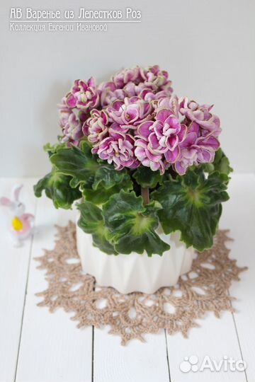 Ав Варенье из Лепестков Роз -фиалка