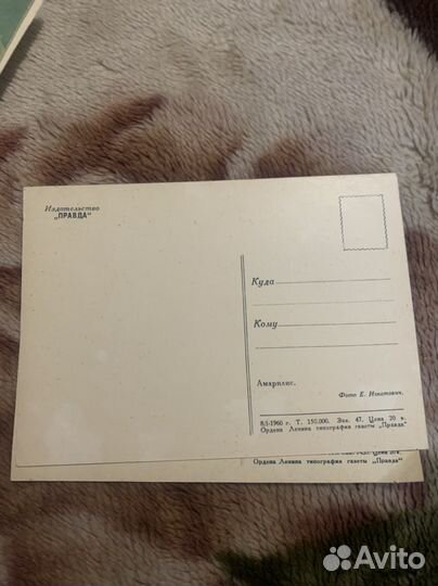 Открытки СССР