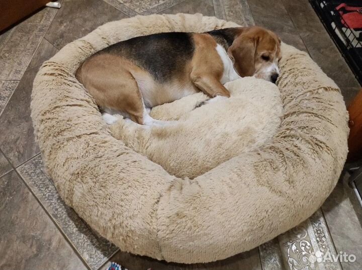 Лежанка для собаки и кошки