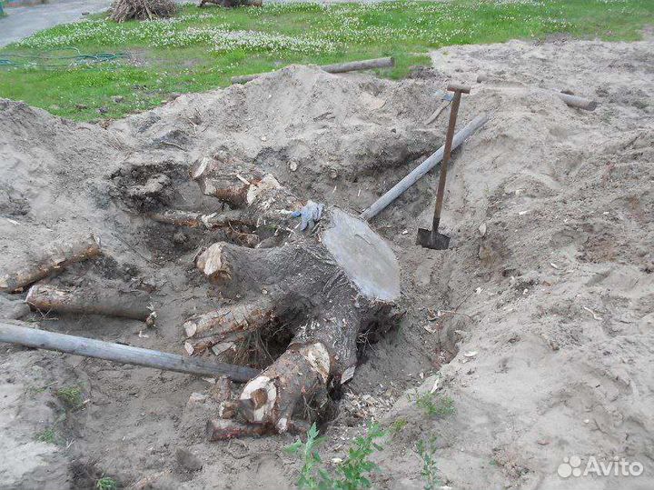 Благоустройство территории