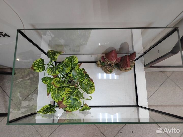 Аквариум прямоугольный 20л без крышки