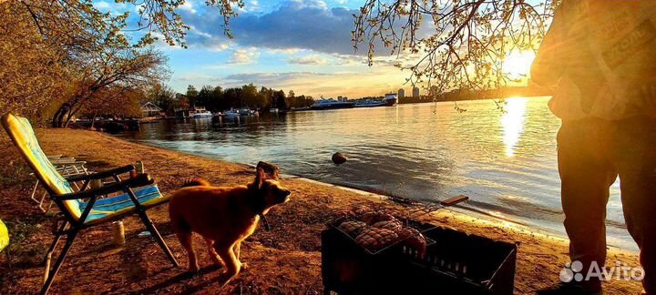 Выгул собак, погуляю с собакой