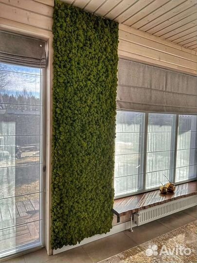 Озеленение стабилизированным мхом