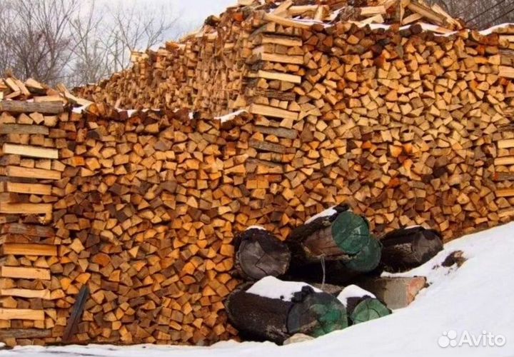 Дрова березовые