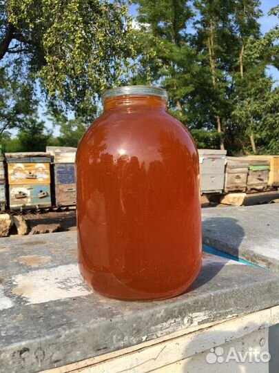 Мед разнотравье