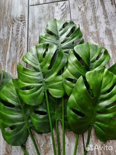 Монстера искусственная