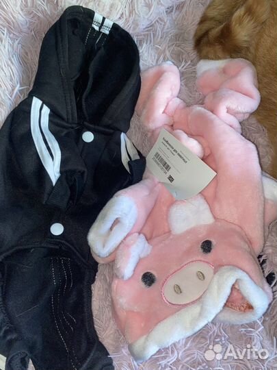 Одежда для кота/собаки