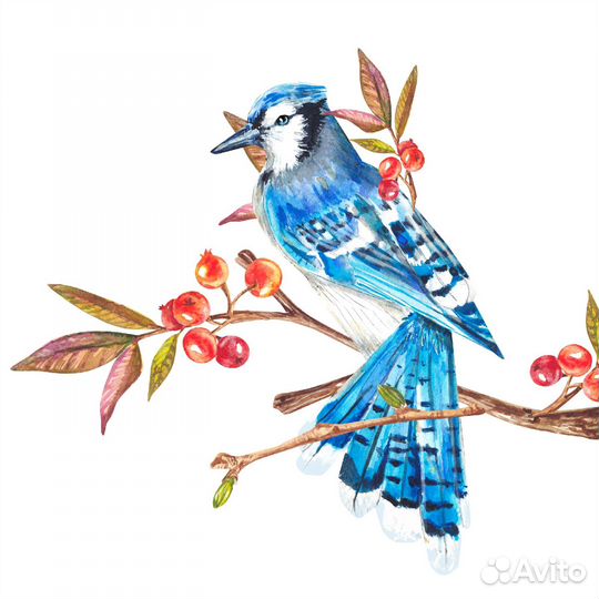 Уроки рисования. Репетитор