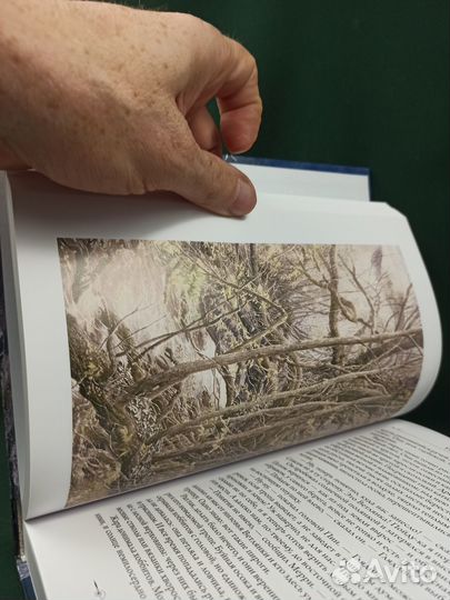 Дж. Р. Р. Толкин. Хранители кольца