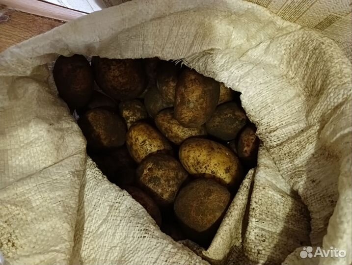 Продам картофель домашний