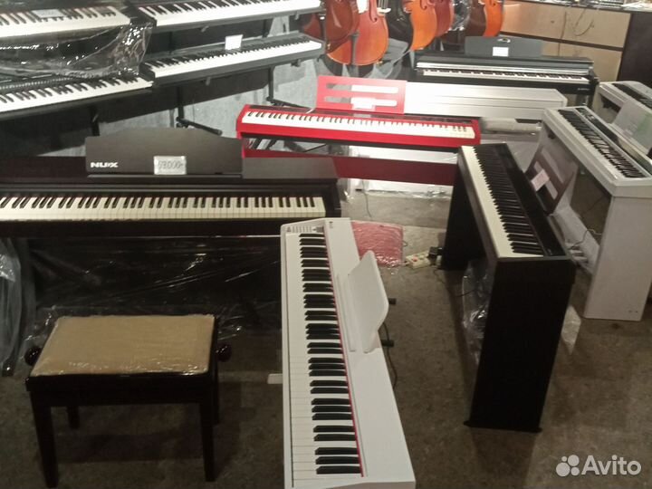 Пианино Casio, Antares, Beisite, Nux, Kurzweil