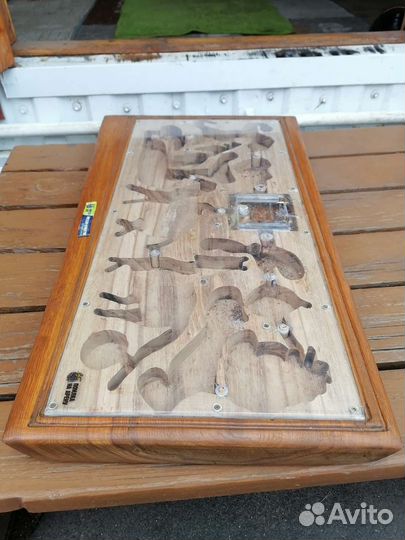 Муравьиная ферма