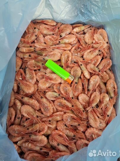 Креветка северная 90+(свежий привоз апрель)