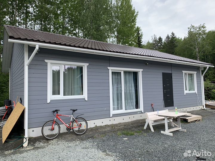 Передержка собак и кошек