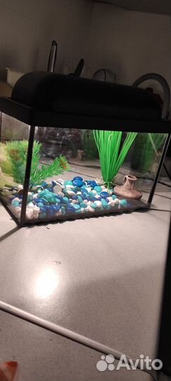 Продам аквариум