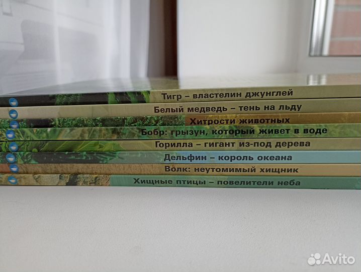 Книги. Энциклопедия животных