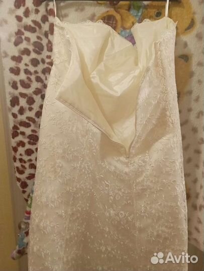 Женская одежда