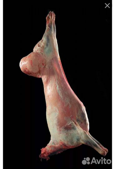 Продам мясо баранина