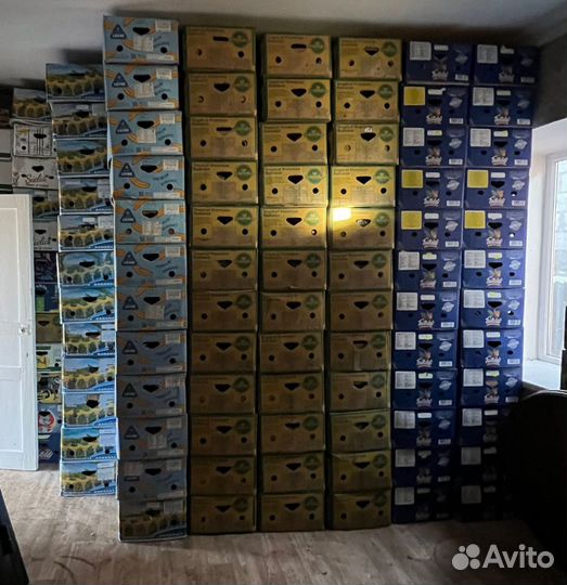 Юхкш яьшкш ю вайгахь