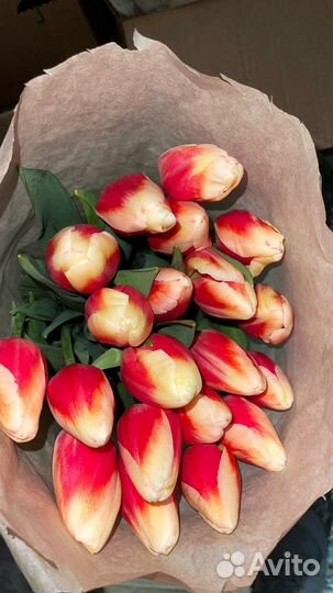 Тюльпаны сегодня 8 мариа