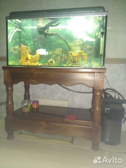 Аквариум + рыбки