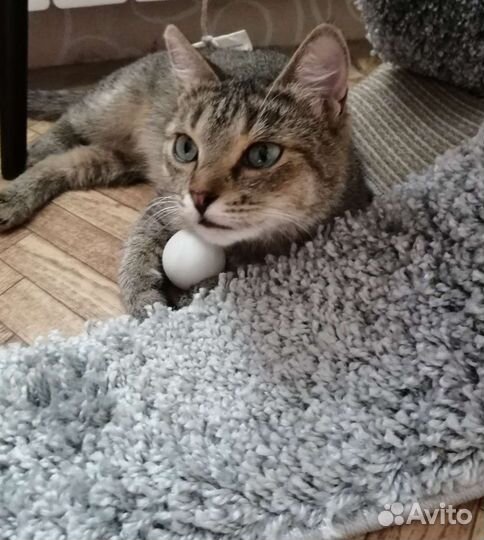 Добрая и ласковая Соня