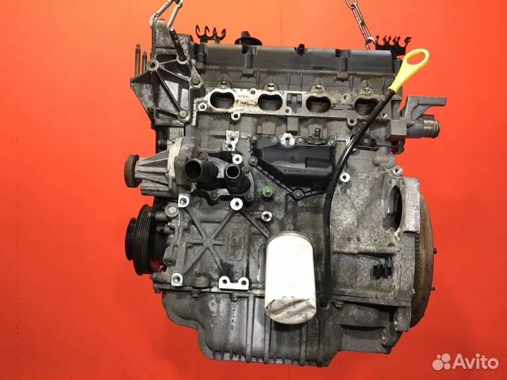 Двигатель Ford Focus 1 хетчбэк fyda 1.6L 1596 куб
