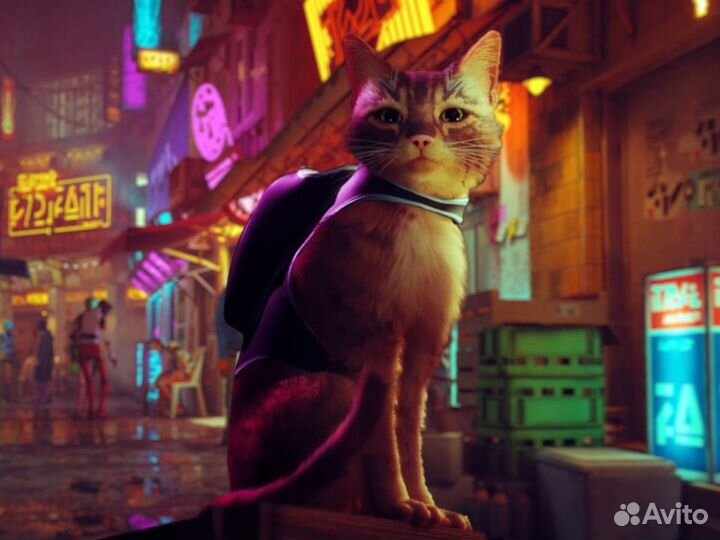 Stray Steam Россия / Турция