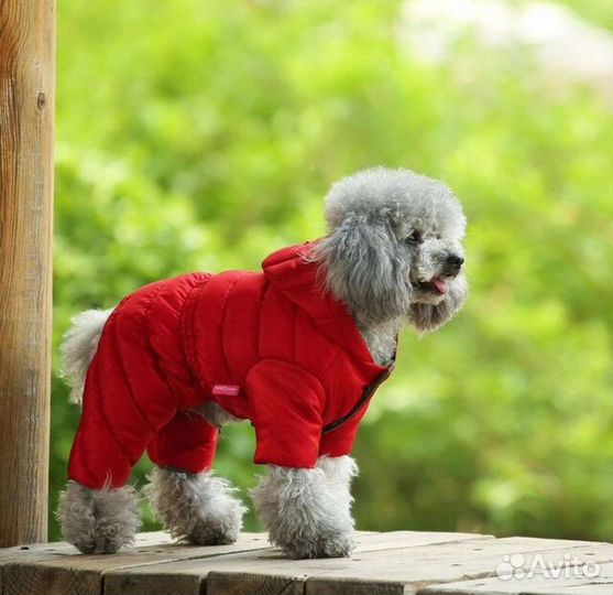 Комбинезон тёплый, непромокаемый