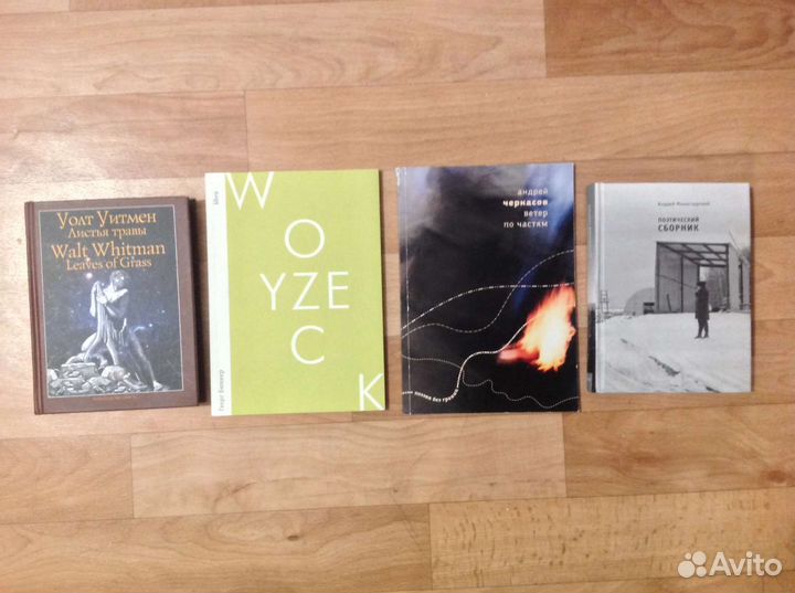 Художественная литература. Поэзия и драматургия