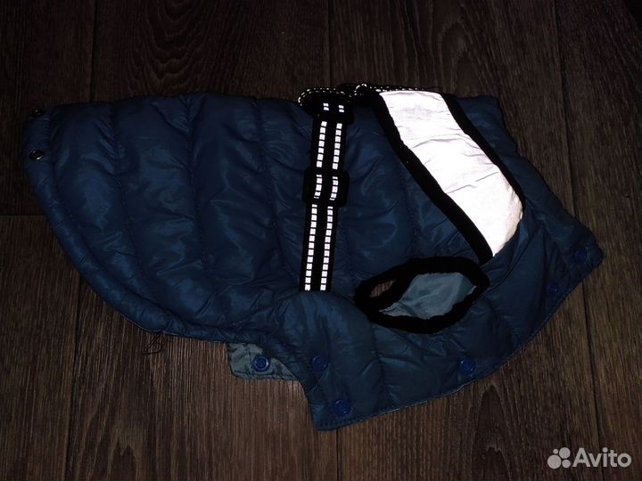 Одежда для собак