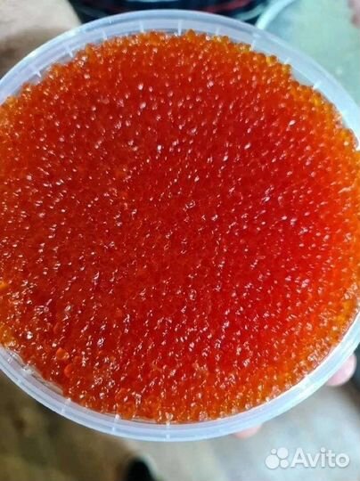 Икра форели красная