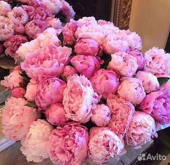 Пионы Розы Доставка