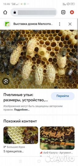 Пчелы и улья