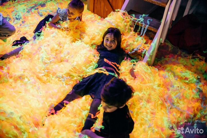 Аниматоры, На День рождения, Ведущие