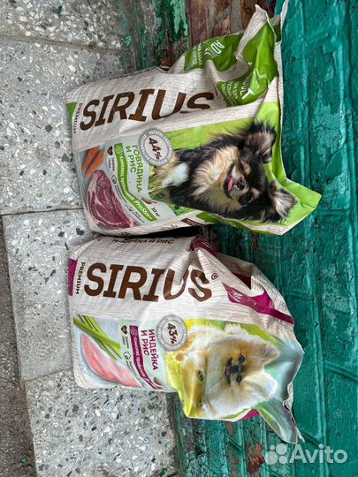 Корм для собак и кошек