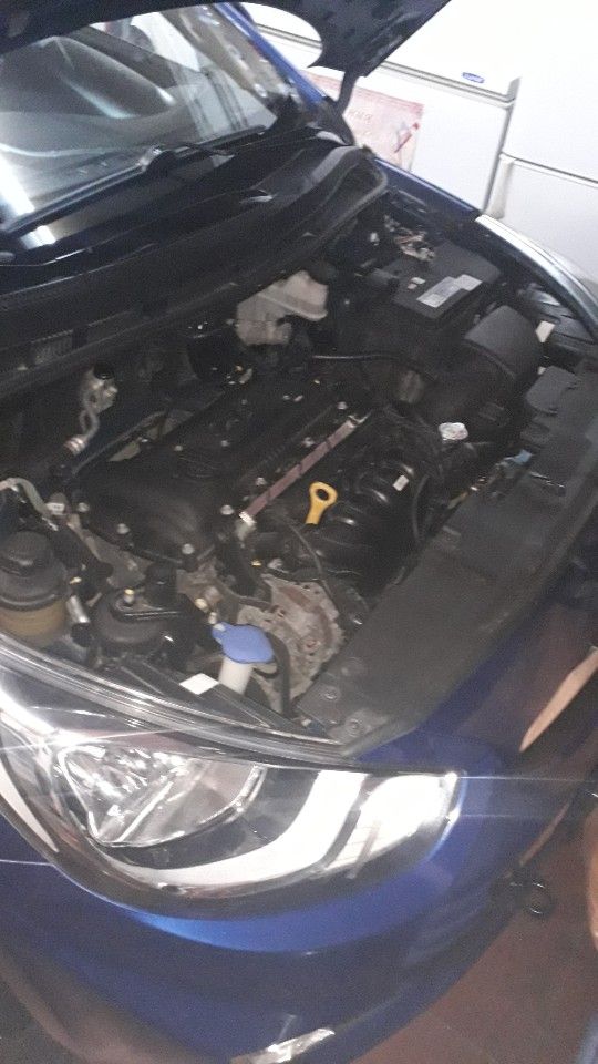 Hyundai Solaris: фото владельца