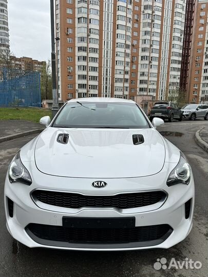 Kia Stinger 2.0 AT, 2019, 65 000 км