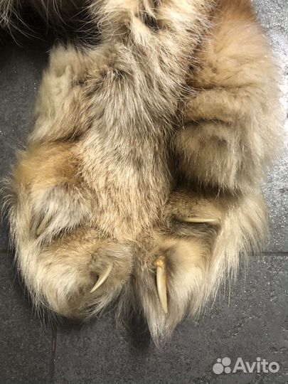 Рысь имитация