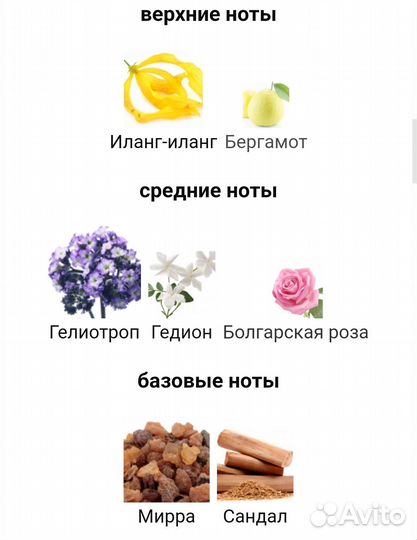 Initio psychedelic love