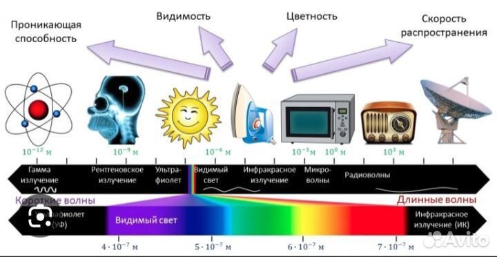 Экспресс замер радиации и электромагнитного поля