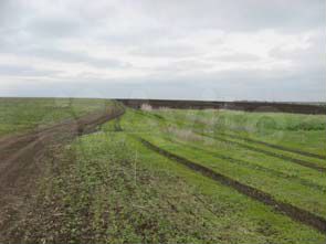 Участок 25,35 га (ИЖС)