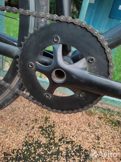 Фикс/синг Octopus Vulgaris, 58 ростовка