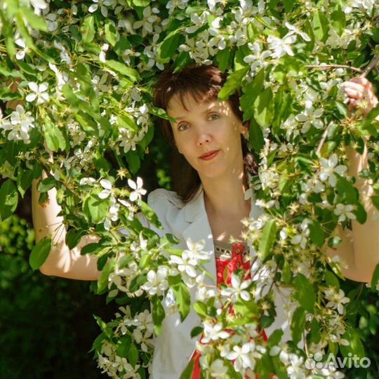 Репетитор. Подготовка к школе