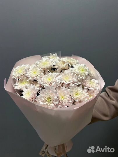 Хризантемы. Букет из хризантемы