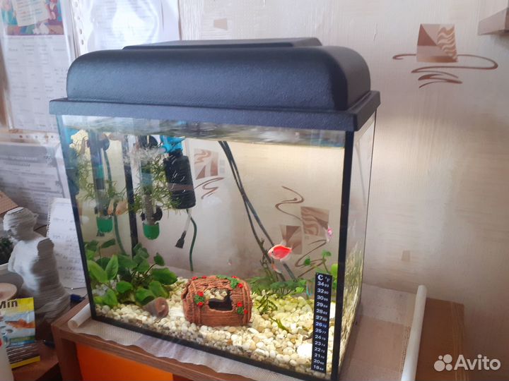 Аквариум