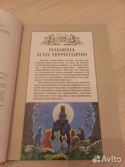 Книги коты воители