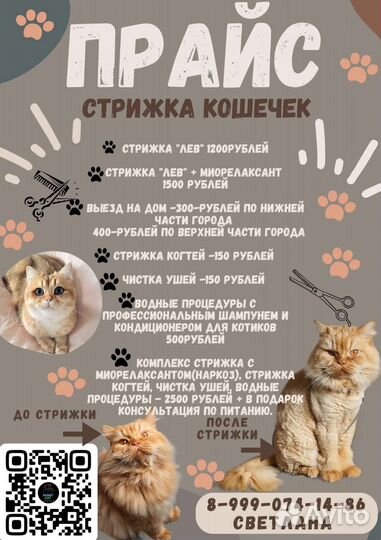 Стрижка кошек на дому